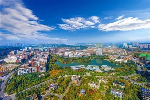 中科招商領銜久久益之星等3機構參與盛齊安定增，打造中國腫瘤治療通信技術開發獨角獸