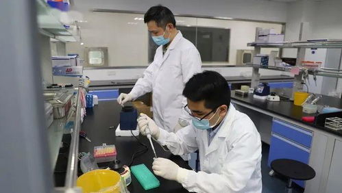 科技抗疫新突破 滬企融合通信技術，核酸檢測時間大幅縮短至1小時