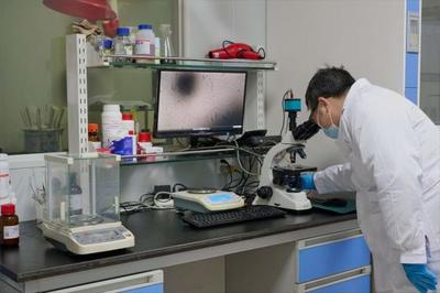 以生物造萬(wàn)物 合成生物產(chǎn)業(yè)化提速，開啟生物技術(shù)研發(fā)新紀(jì)元
